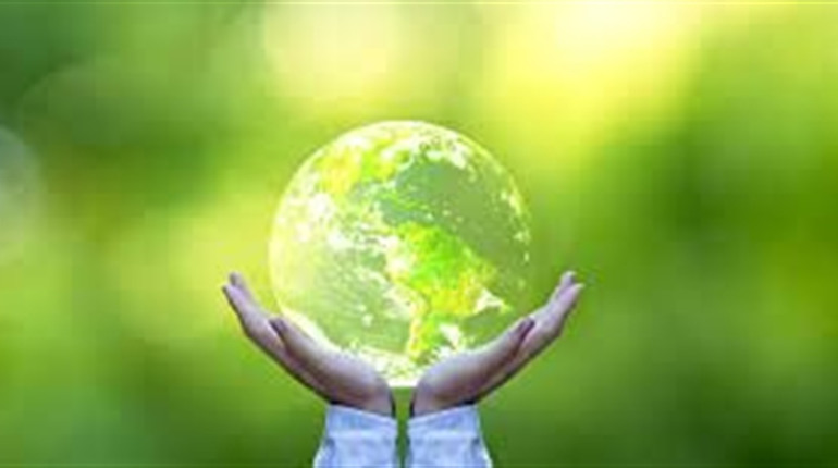 Zero waste у реальному житті. Навіщо та як правильно компостувати