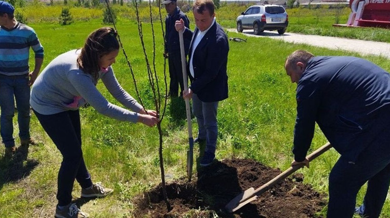У селі Перше Травня висаджують квіти і плодові дерева