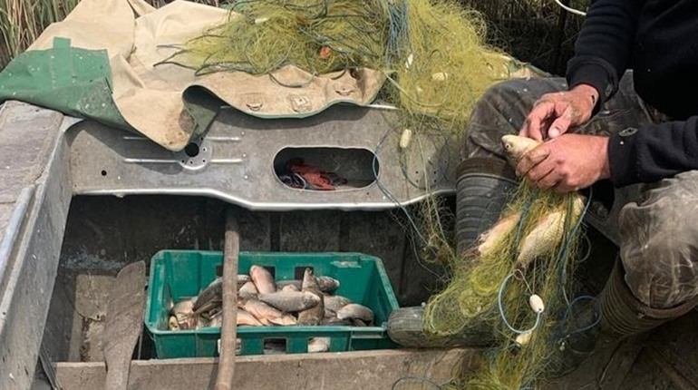 Рибалка з Біляївки попався на браконьєрстві. Чоловік ловив рибу під час нересту забороненими сітками