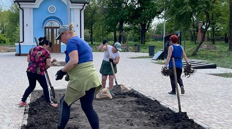 Троянди миру. У парку "Ювілейному" у Кураховому висадили квіти