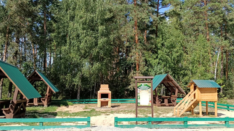 Лісівники Городницького лісгоспу сворюють рекреаційні зони