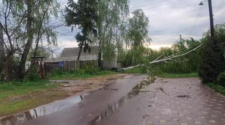Подробиці негоди , яка пронеслась Шосткинщиною ввечері 12 травня