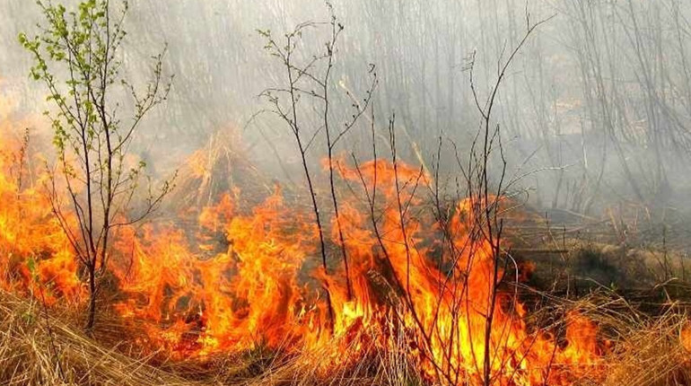 За підпал – аж до довічного ув'язнення. У Корюківському районі нагадали про відповідальність