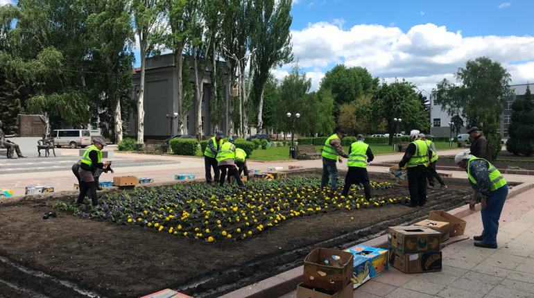 Покровськ прикрашають сотнями яскравих петуній