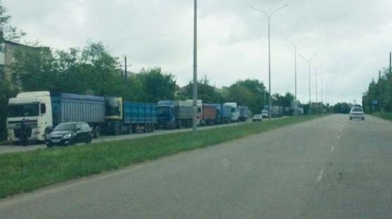 Фермери з Мелітополя змушені за безцінь продавати зерно російським військовим