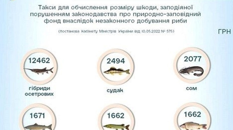 Незаконно порибалити на території об’єктів природно-заповідного фонду стало дуже дорого