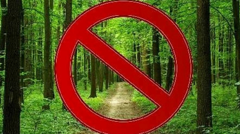 На Бориспільщині закриють дороги до лісу