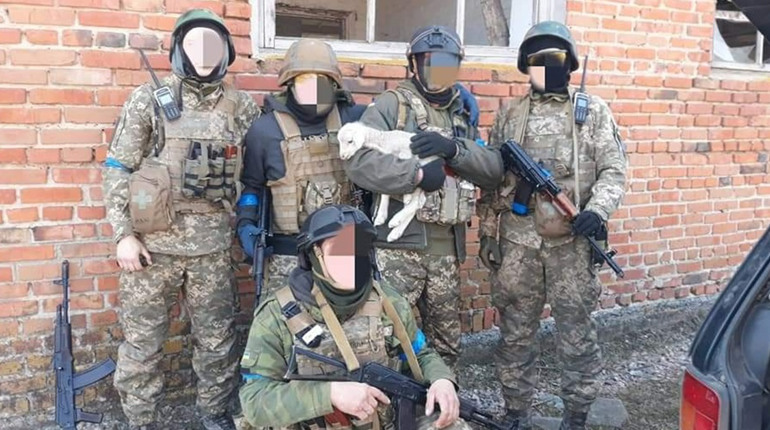 Допомога теробороні Мелітополя: мер опублікував офіційні рахунки