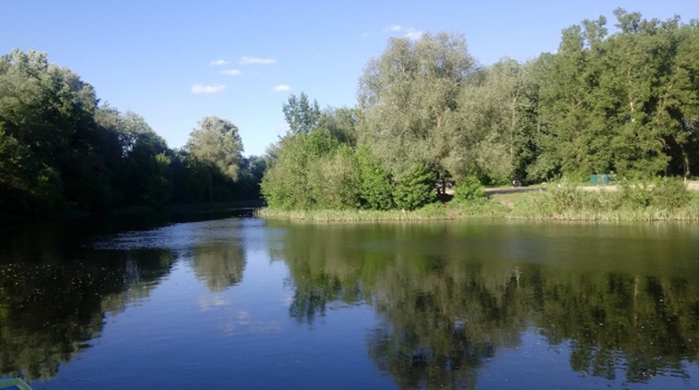Книжка, річка та село: перспективи відпочинку гадяцьких дітей