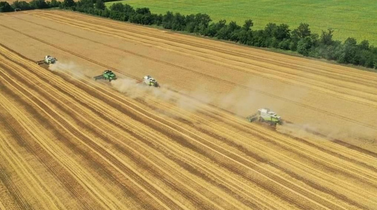Аграрії Одещини відкрили сезон жниварства в Україні