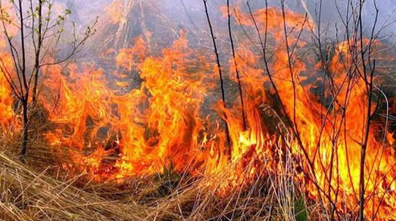 У селі Стрітівка, що у Ржищівській громаді, від вогню загинула жінка