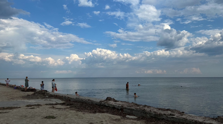 "Ніхто не вийшов працювати. Все поросло травою": місцеві про пляжі Скадовська