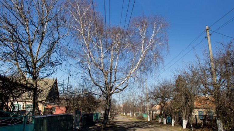 Історія Пологівчанки: від’їжджала із Поліг, а маму так і не змогли поховати