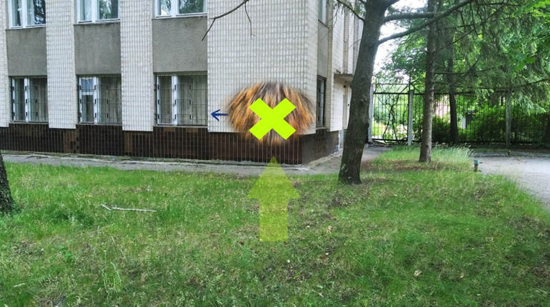 Пройди тест на справжнього жовтоводця: ми сховали написи, які ти бачив мільйон разів у місті