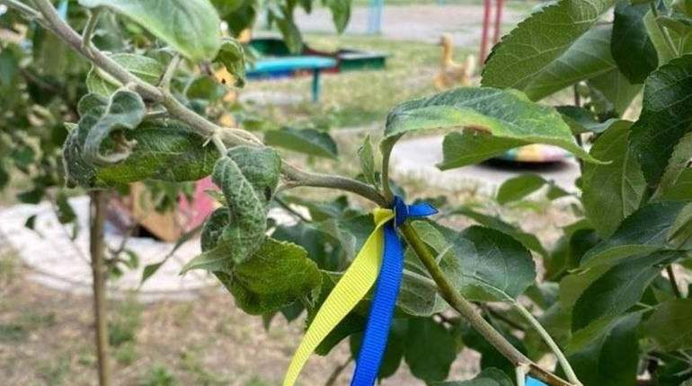36 тисяч людей вийшли в онлайн-мітинг на підтримку Херсонщини