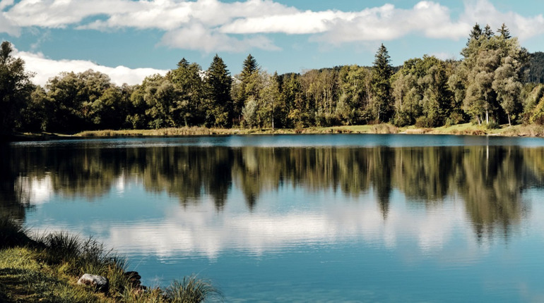 Де на Львівщині можна покупатись влітку: огляд водойм та відгуки про пляжі