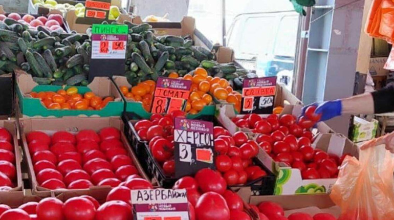 Чеченці везуть мелітопольську черешню на продаж в Білорусь