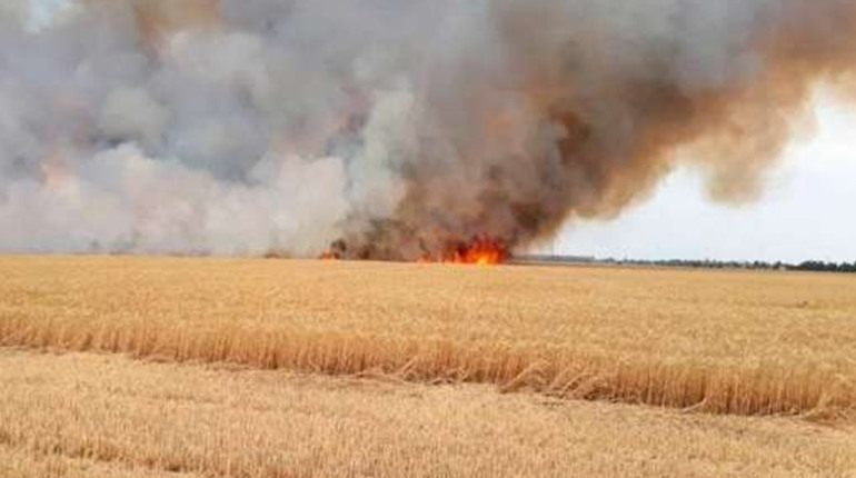 Військовослужбовець ЗСУ з Володимирця показав кадри, як окупанти палять український врожай