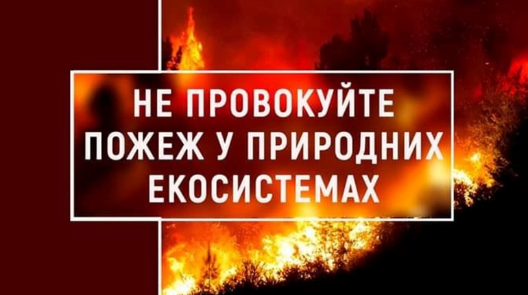 За перше півріччя 2022 року рятувальниками ДСНС Вараського району ліквідовано 73 пожежі