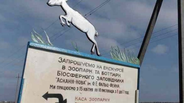 Росіяни захопили інститут тваринництва «Асканія-Нова» на Херсонщині