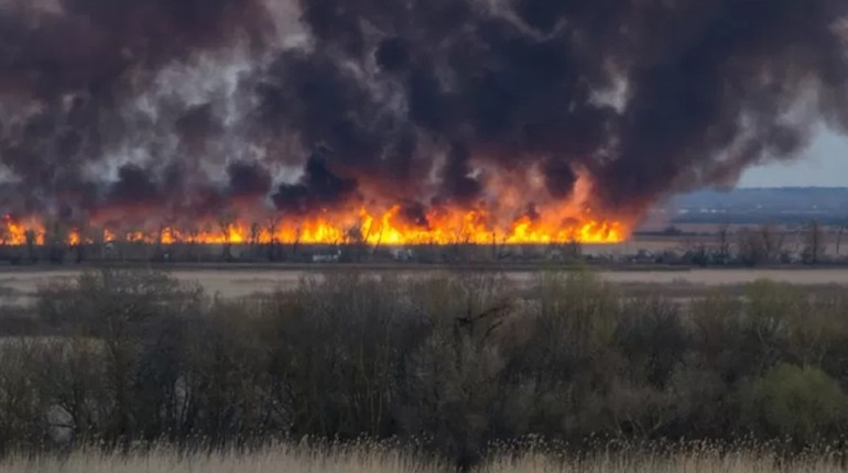 Окупанти не дають гасити пожежі на полях, знищують склади із зерном і техніку поблизу Генічеську