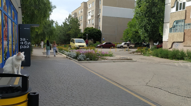 Погода в Южноукраїнську: останній місяць літа розпочнеться дощами