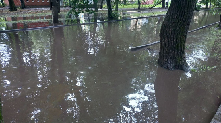 Жовті Води накрила сильна злива: дороги залило водою і поламало дерева. Відео