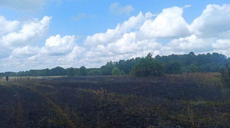 З САУ та мінометів російські війська обстрілювали чернігівське прикордоння
