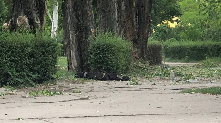 В Енергодарі знову обстріли: місцеві чули кілька вибухів