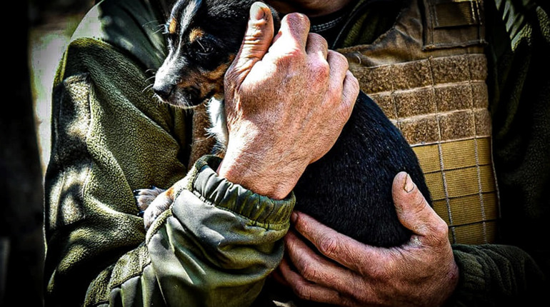 На передових позиціях з чотирилапими побратимами
