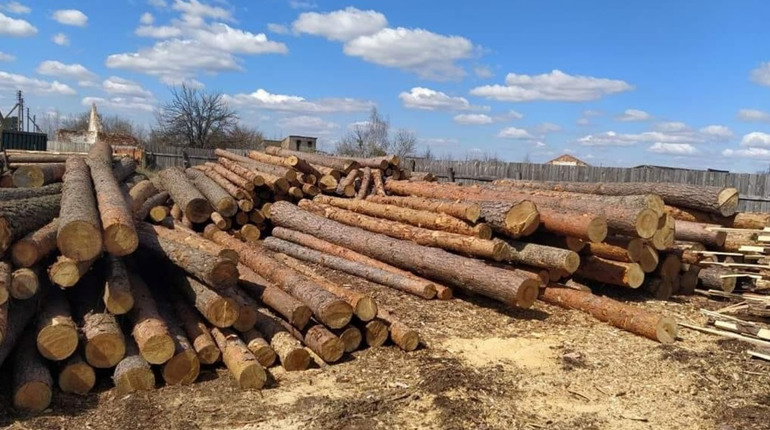 У Вараському районі на потреби ЗСУ передали лісопродукцію вилучену у ході досудового розслідування