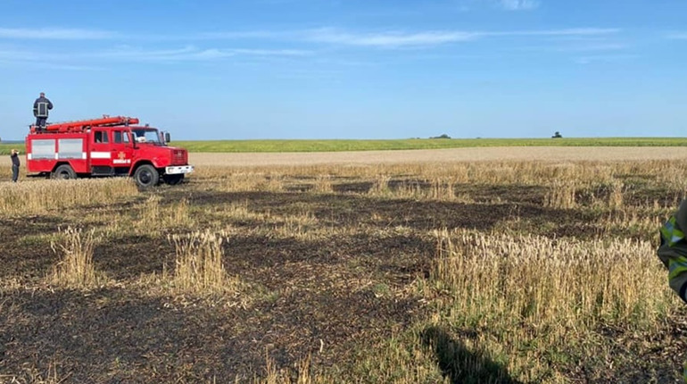 На Кременеччині вогонь знищив два гектари пшеничного поля