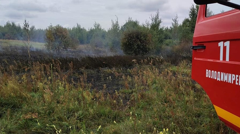 Пожежа у селі Зелениця: горіла трава