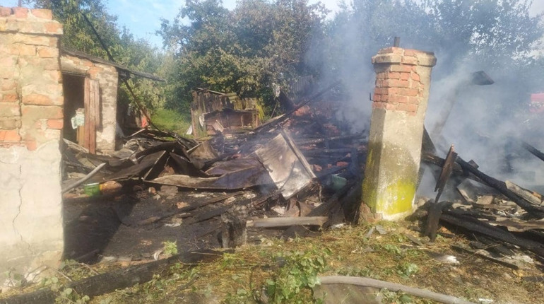 Зросла кількість обстрілів прикордоння Чернігівщини: росія вбила коня