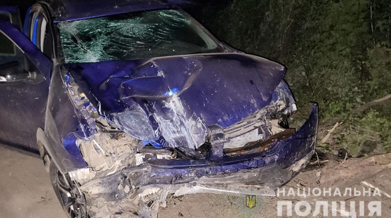 Збив насмерть людину і втік з місця трагедії: на Чернігівщині затримали водія