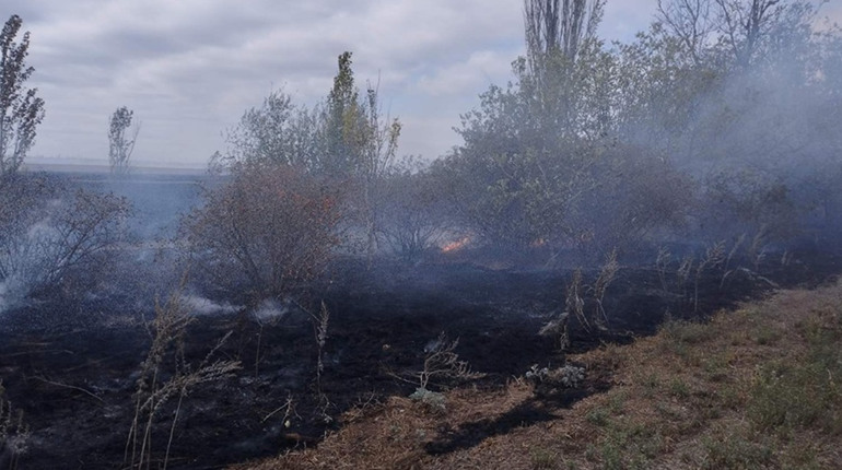 8 вересня у Миколаївські області сталися шість пожеж, з яких одна — від ворожого обстрілу