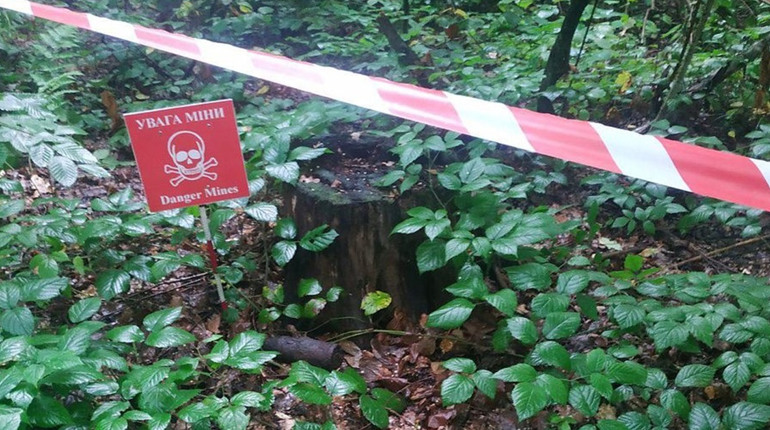 У Дрогобичі посеред парку знайшли артилерійський снаряд