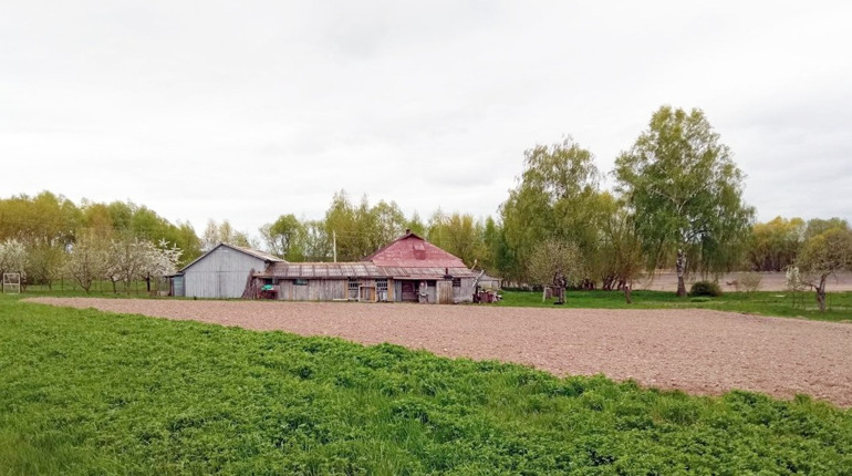 Джонсон пішов під ніж. А загалом – у Лазарівці на Менщині все без змін