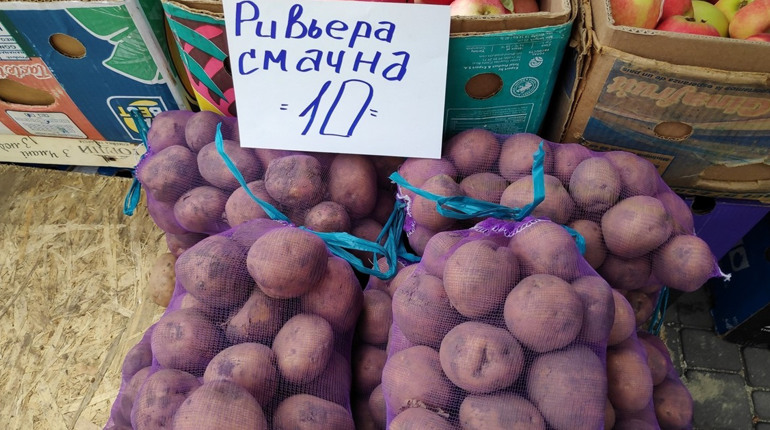 Інфляція на споживчому ринку Миколаївщини у серпні склала 0,5%: найбільше здорожчали рис та яйця