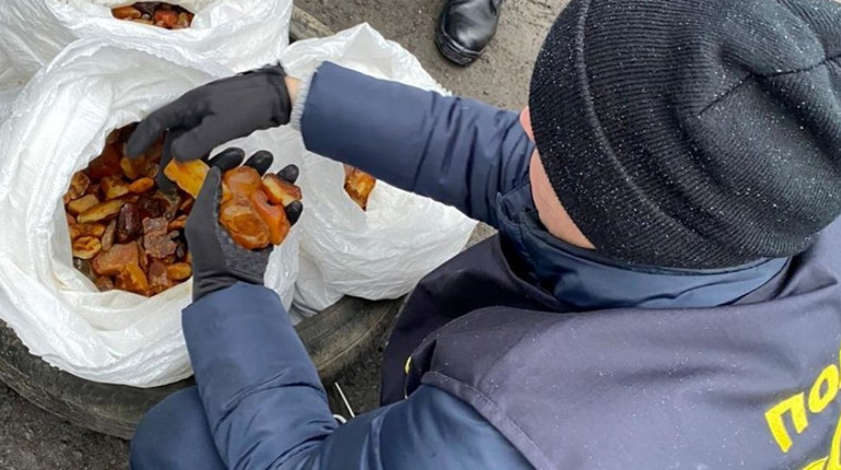Незаконні оборудки з бурштином: сільського голову засуджено на чотири роки в колонії