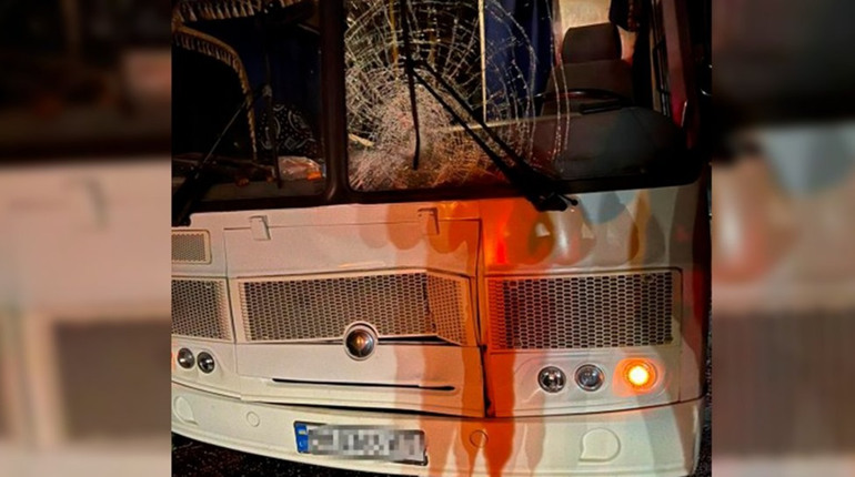Смертельна аварія: в передмісті Одеси під колесами автобуса загинув пішохід
