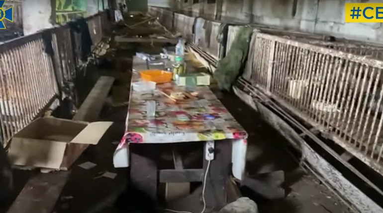 Під одним дахом із поросятами: на Херсонщині окупанти облаштували "командний пункт" у свинарнику