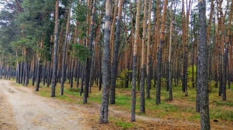 На Городнянщині від російських обстрілів загинув житель Мощенки