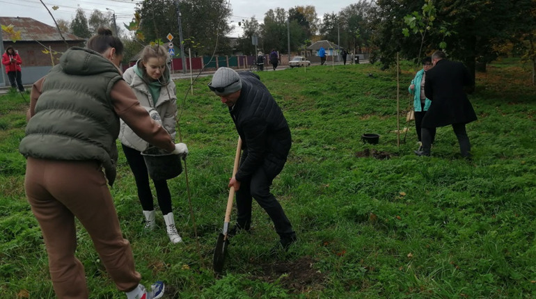 Ніжинську Набережну озеленюють..