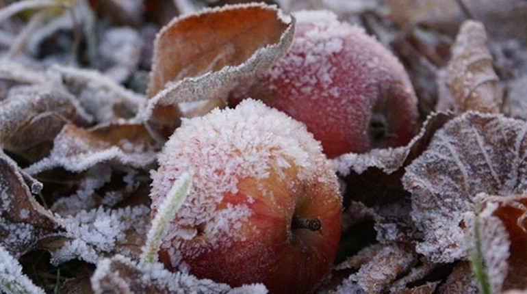 "До -2°C вночі": яку погоду на Гадяччині прогнозують синоптики на тиждень