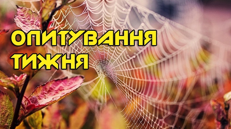 Опитування тижня: що ви робили у дні «бабиного літа»? Розповідають жителі Переяславщини
