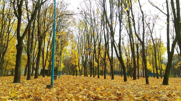 Наскільки добре ви знаєтесь на місцевих цікавинках?
