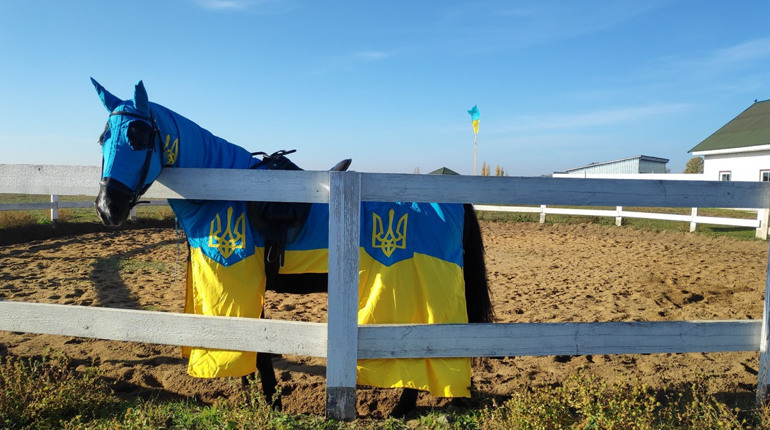 У первомайському Поні-парку відбулися змагання з верхової їзди