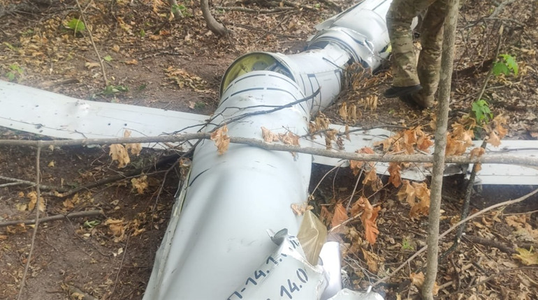 Уламки ракет впали на території Хмельницької області, - Гамалій