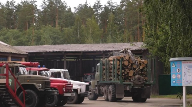 У Лозовій вирішують питання щодо забезпечення населення дровами. Хто отримає перший